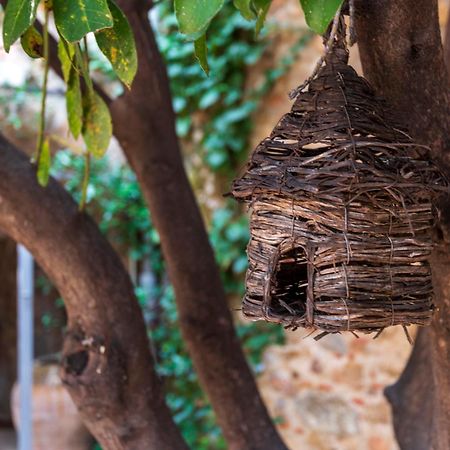 Hostal Can Xicu Capmany Εξωτερικό φωτογραφία