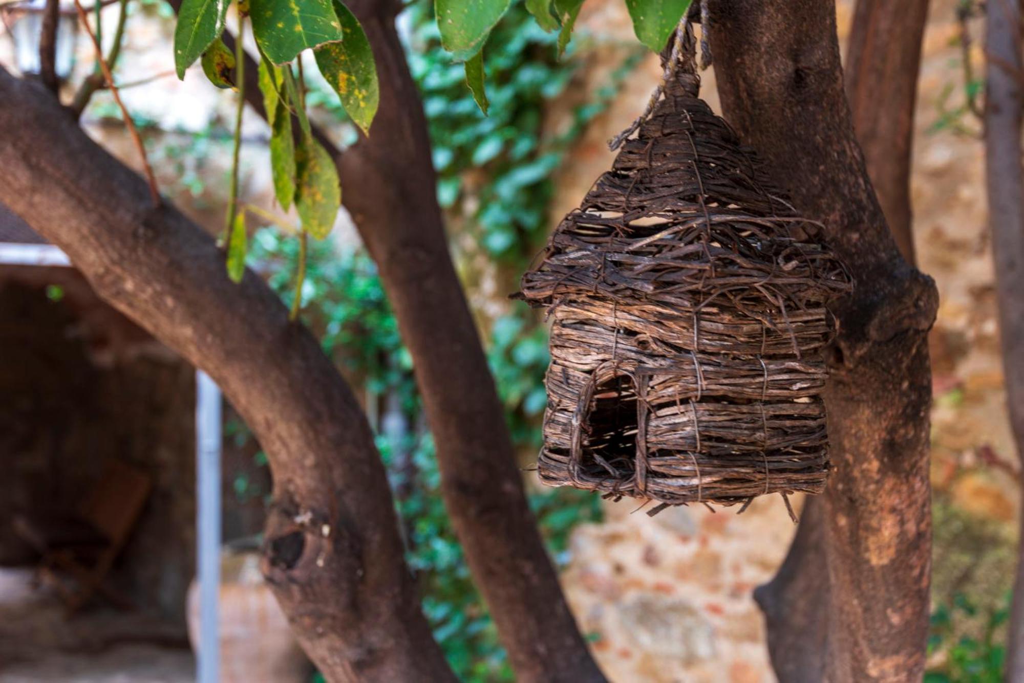 Hostal Can Xicu Capmany Εξωτερικό φωτογραφία